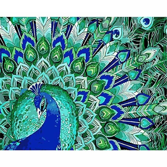 Pauw - Schilderen op nummers