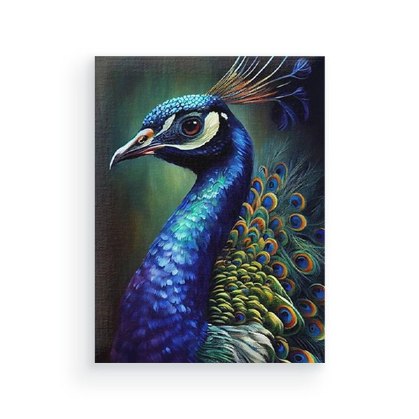Peacock - Schilderen op nummers