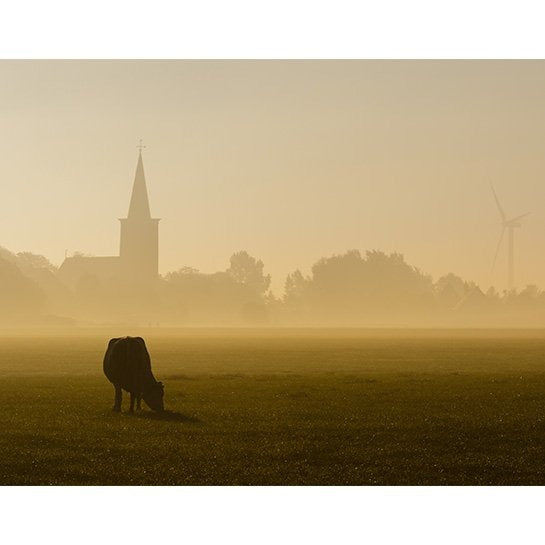 Burgwerd in de mist - Schilderen op nummers