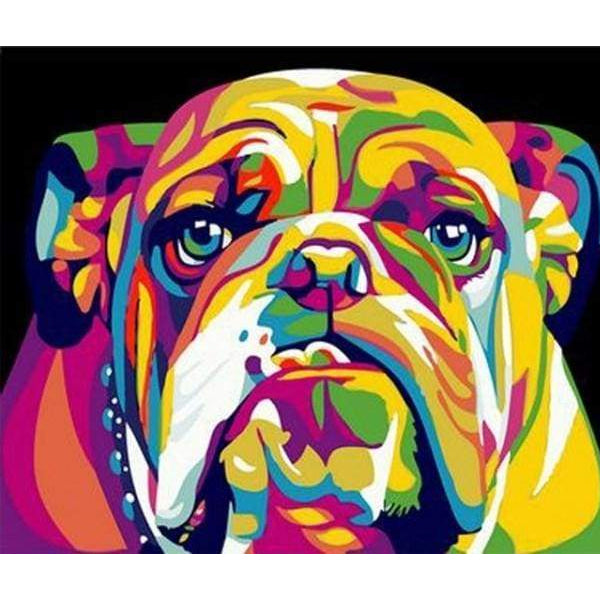 Colourful bulldog - schilderen op nummers