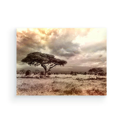 Afrika savanna - Diamond painting - Special edition