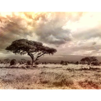 Afrika savanna - Diamond painting - Special edition