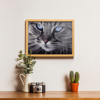 Cat blue eyes - Diamond painting - Special edition