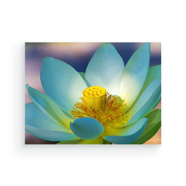 Lotus bloem - Diamond painting - Special edition