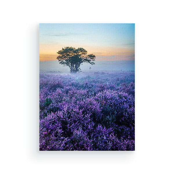 Zuiderheide Laren - Schilderen op nummers