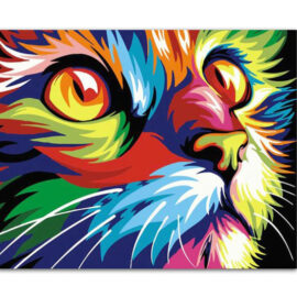 Colourful Cat