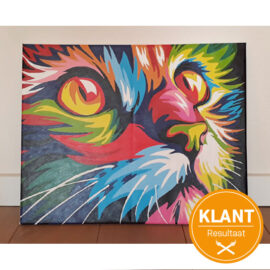 Klanten Resultaat Colourfulcat